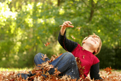 fall checkup round rock